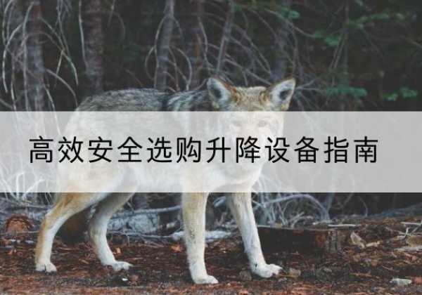 建平升降货梯厂家推荐-*安全选购升降设备指南