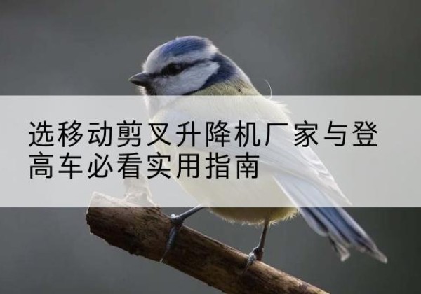 建平电动升降机厂家-选移动剪叉升降机厂家与登高车必看实用指南